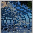 존스오토 | 🌊 강릉 세인트존스 호텔 파인 인피니티풀: 버블 파티와 힐링을 동시에! 🫧