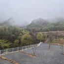별밤차박캠핑장 이미지