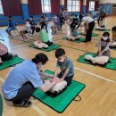 안내초등학교 이미지