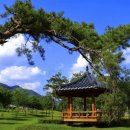 산운수석 네이버블로그