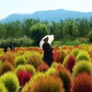황산공원(황산B) 이미지