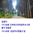 Re: 출발공지/10월30일(수)~31 삼천포 편백숲 1박2일+월등도.비토섬 가을 만끽여행 이미지