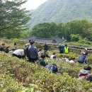 호남고등학교 이미지