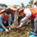 주식회사 사과나무 이미지