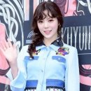 스타일 퍼피 이미지