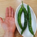 탑마트 다대점 | 부산 다대포 맛집 [맛나감자탕 다대점] 놀이방 있는 식당/외식 장소 추천