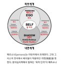 머리박사 이미지