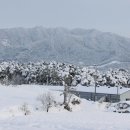 연천농장 이미지