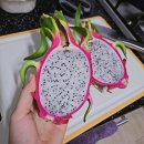 네일어피어 | 진주 PADO 웨딩스냅 촬영 전 일주일 보내기 & 신부관리