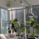 헤어미용자격증 이미지