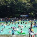 성주산자연휴양림 시사저널