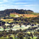 고령목장 이미지