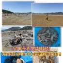셀티스 | 둔촌 갯벌체험장 준비물 & 성공적인 조개 체험과 쏙 체험 아이랑 방문 후기