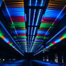 (주)다인관광 이미지