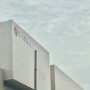 건강요가 1(강좌번호:16) | [후기] 대구신세계백화점-신세계아카데미 “임산부 힐링요가“