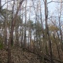 회원동126 이미지