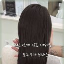 대전미용실 이미지