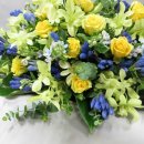 둔산중로-51 이미지