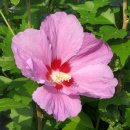 베드로농장 이미지