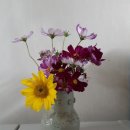 풍성농장 이미지