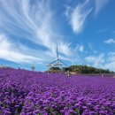 신원내동마을 이미지