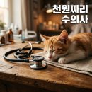 홍금동물병원 | 동물농장 천원짜리 수의사 분당 홍금동물병원 위치와 후원 안내