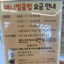 평택실내동물원 애니멀클럽 두돌 아이와 먹이주기 체험 후기 평택아기랑