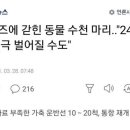 속 보 2보 _ 2021년 3월 28일 04시 30분 수에즈 운하 주목 필요 (후속) 이미지