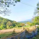 대가면행정복지센터 이미지