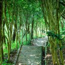 미암공원 이미지