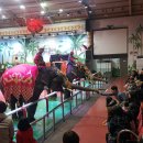 이젠, 나도 코딩 박사 이미지