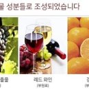 라온365온누리약국 이미지