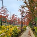 고덕로 79길 이미지