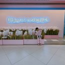 [부산아이랑]실내 대형 키즈카페”아틀란티스 부산점“(내돈내산)후기