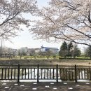 경상대 가좌천문화거리 이미지