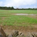 대정읍 신도3리사무소 이미지