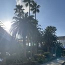 용연·용두암 | 가볼만 한곳/동문시장 야시장, 우진해장국(우진해장국 웨이팅 후기 포함), 용연계곡, 용연구름다리, 용두암