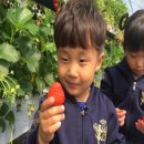 대산농장2 이미지