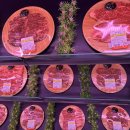 삼호한우농장 이미지