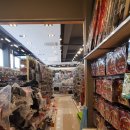 프로낚시 이미지