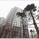 (공동)국제공인중개사사무소 이미지