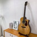 통기타(중급A) 이미지