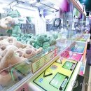 인형뽑기 이미지