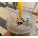 메가커피 Daum카페