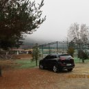 금학산 목장 이미지