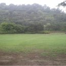 한강다목적운동장 축구장 이미지