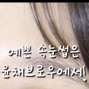 윤채브로우