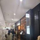 서호돈가스 모듬가스 후기 - 판교 맛집 추천