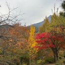 호스텔 하루 | 우정여행 월악산 유스호스텔 캐빈 숙소 바베큐 후기