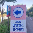 [안양 가을 행사] 제6회 안양윌스 걷기대회 후기
